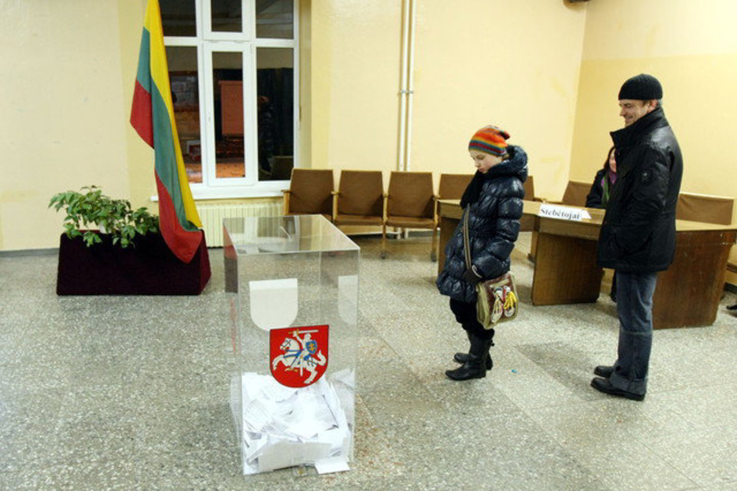 Stebėtojų nuomone, tautinių mažumų partijos galėtų būti netaikomas 5 proc. slenkstis, būtinas patekti į Seimą.