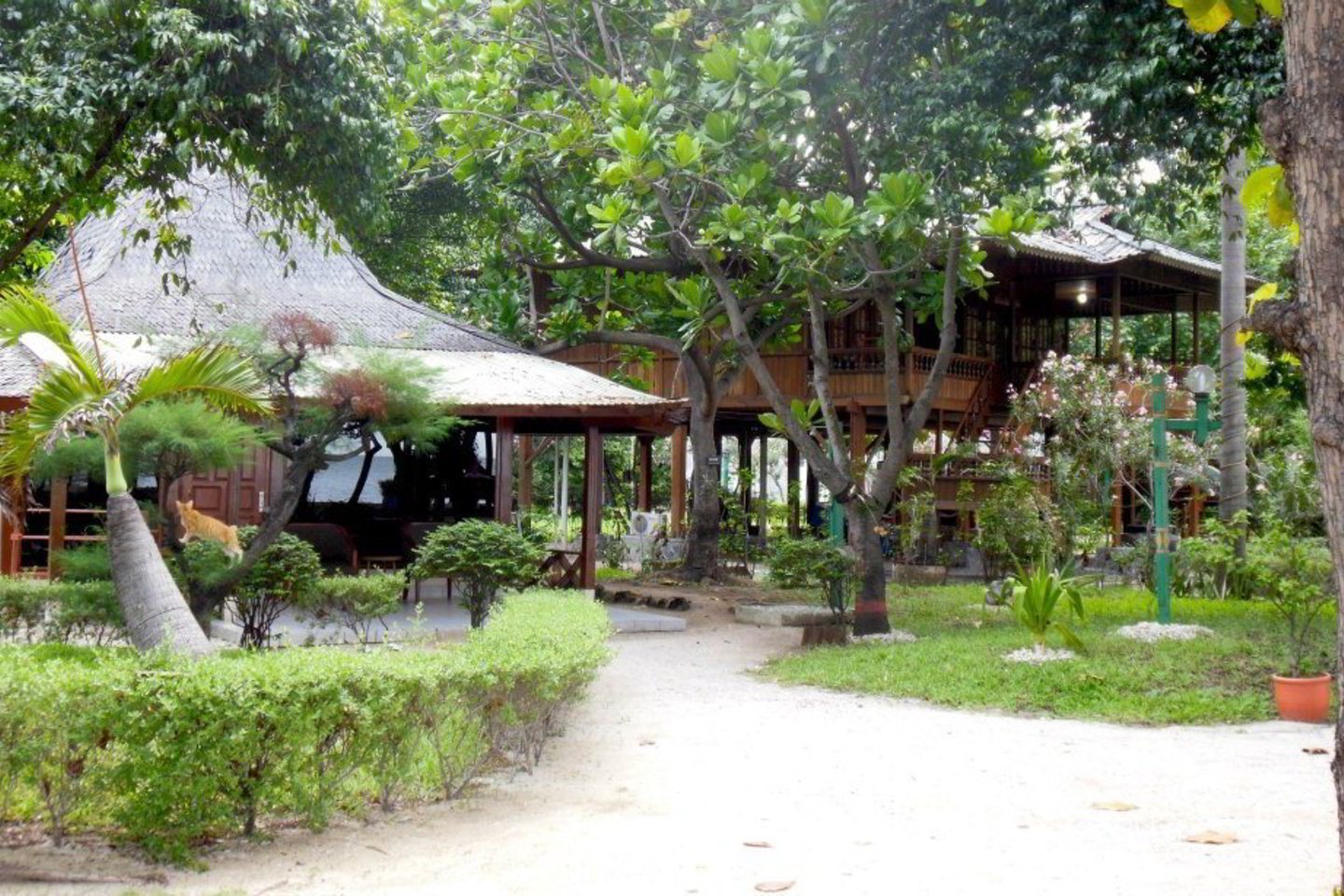 Bidadari saloje.