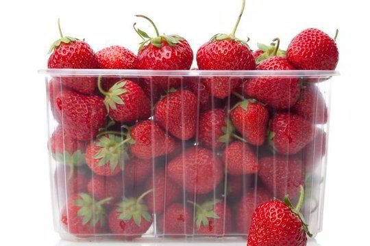 Į Lietuvą braunasi virusu užkrėstos braškės