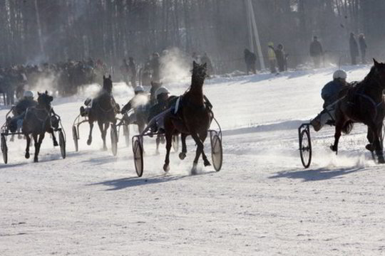 Sirgaliaus gidas. Kas vyks vasario mėnesį Lietuvos ir pasaulio sporte