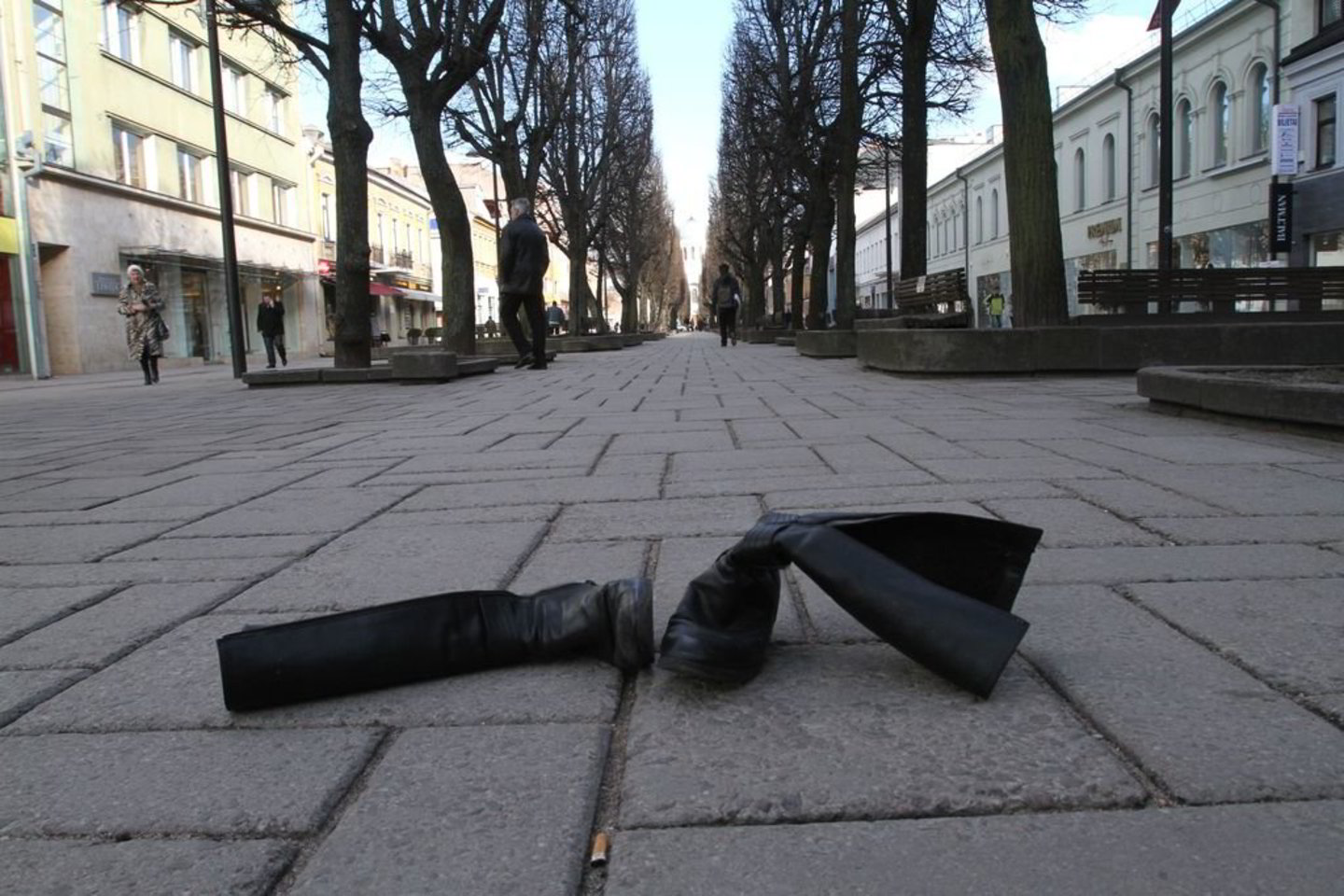 Iš dalies likusių Lietuvoje sklinda priešiškumas emigrantų atžvilgiu taip, lyg sovietmečiu priešiškai būdavo žiūrima į Antrojo pasaulinio karo pabėgėlius į Vakarus.