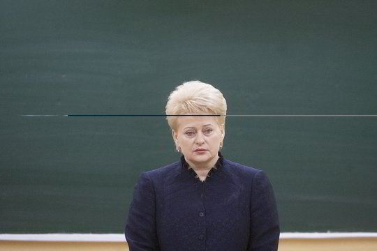 Prezidentė nori žinoti, kas slypi Lietuvos gelmėse