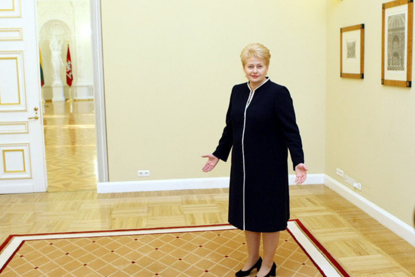 M. Katkaus teigimu, D. Grybauskaitė turi pavojų iš kairės ir dešinės, bet ji yra favoritė.