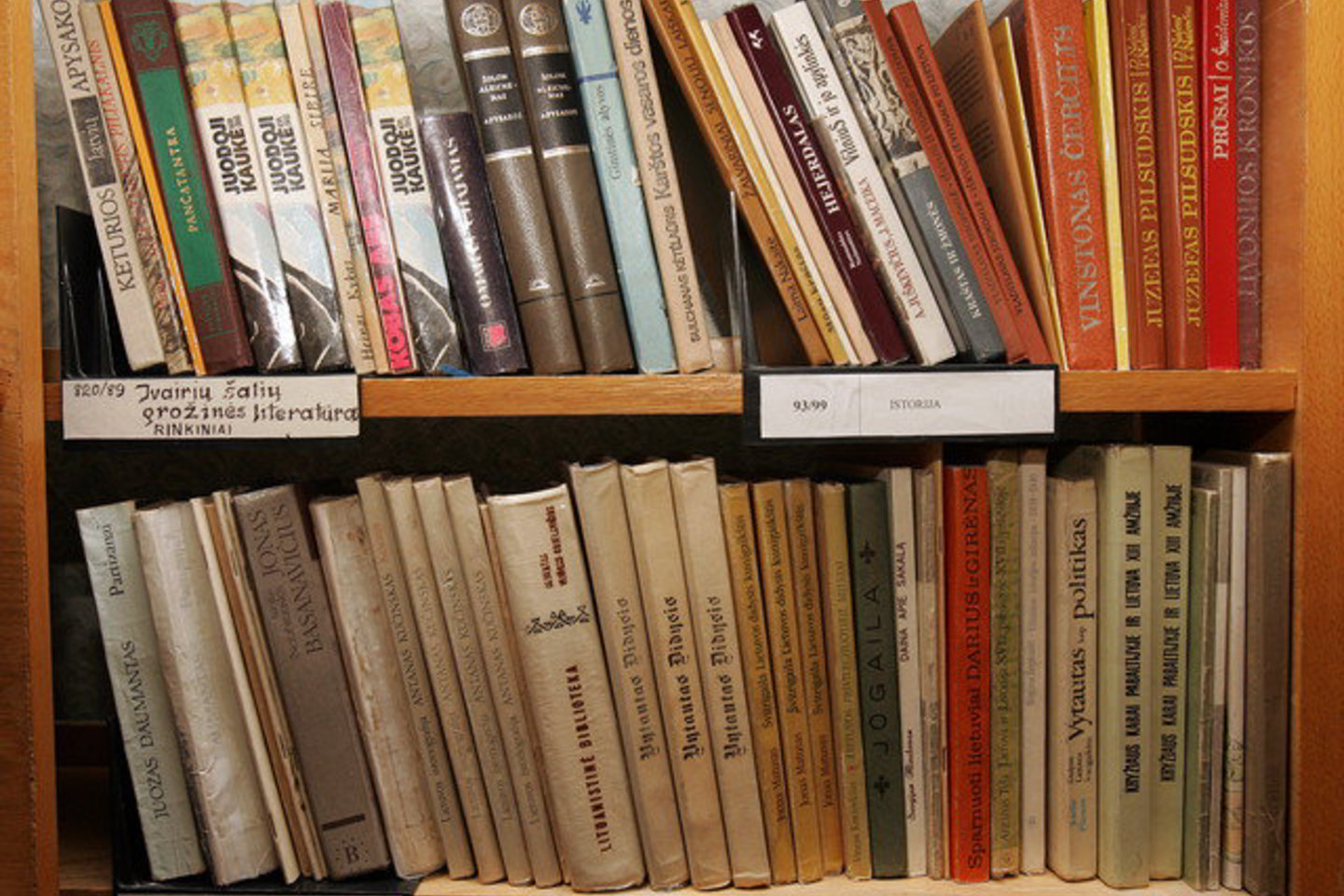 Kaimų mokyklų bibliotekos naujų knygų labai laukia.