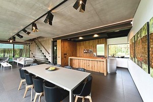 Plienu apvilktas namas negadina pušų paunksnės peizažo