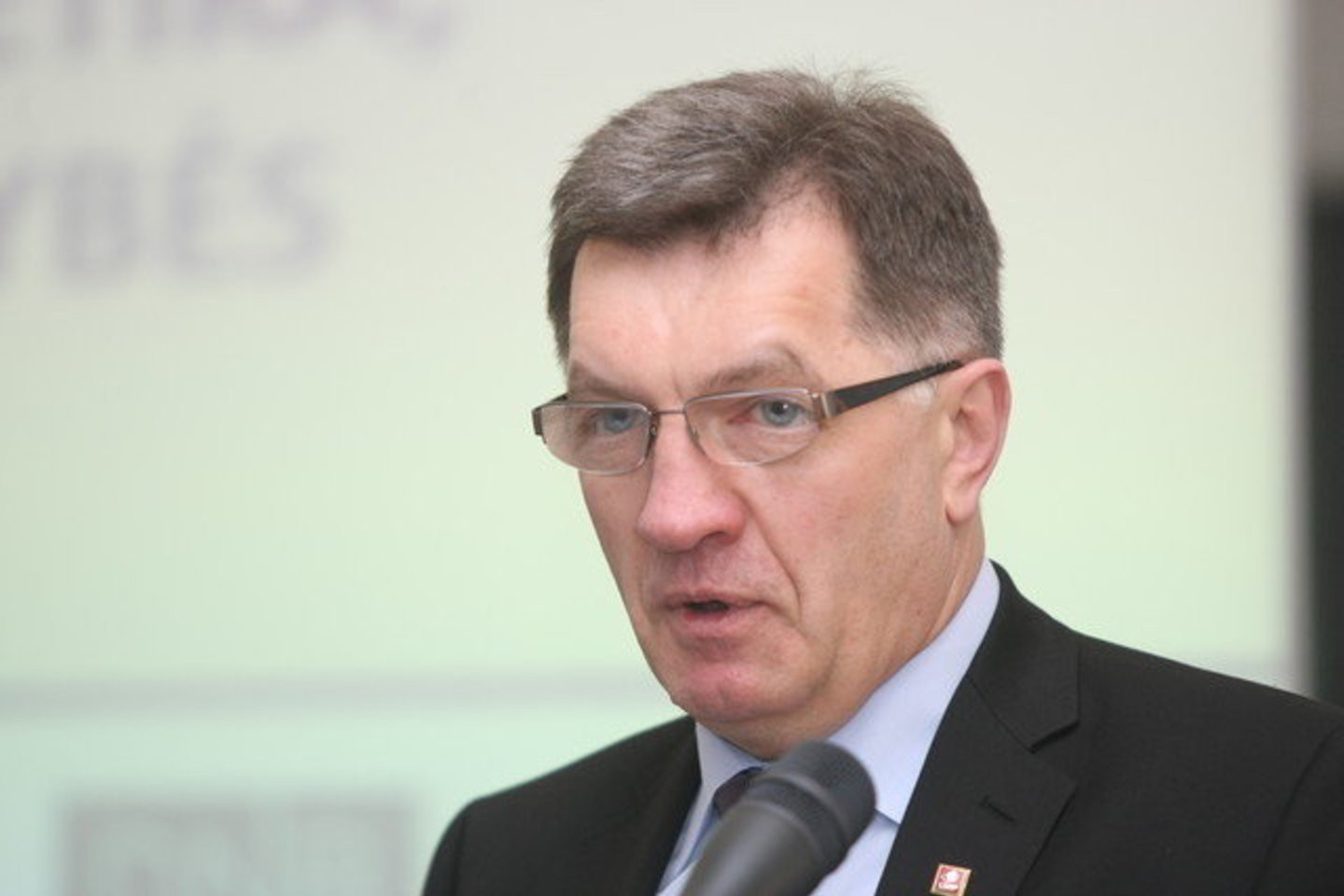 A. Butkevičius pabrėžė, kad per susitikimą su Lenkijos premjeru Donaldu Tusku sutarė, jog bus atnaujintos Vyriausybinių bendradarbiavimo tarybos komisijų darbas.