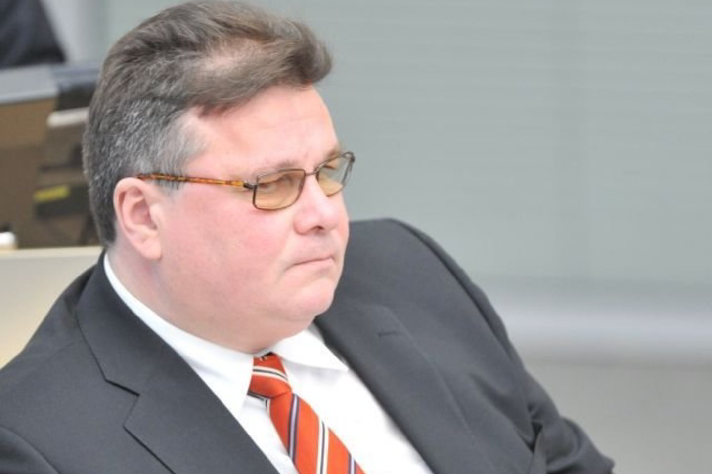 Lenkijos lietuviams pritrūko ministro L. Linkevičiaus dėmesio.