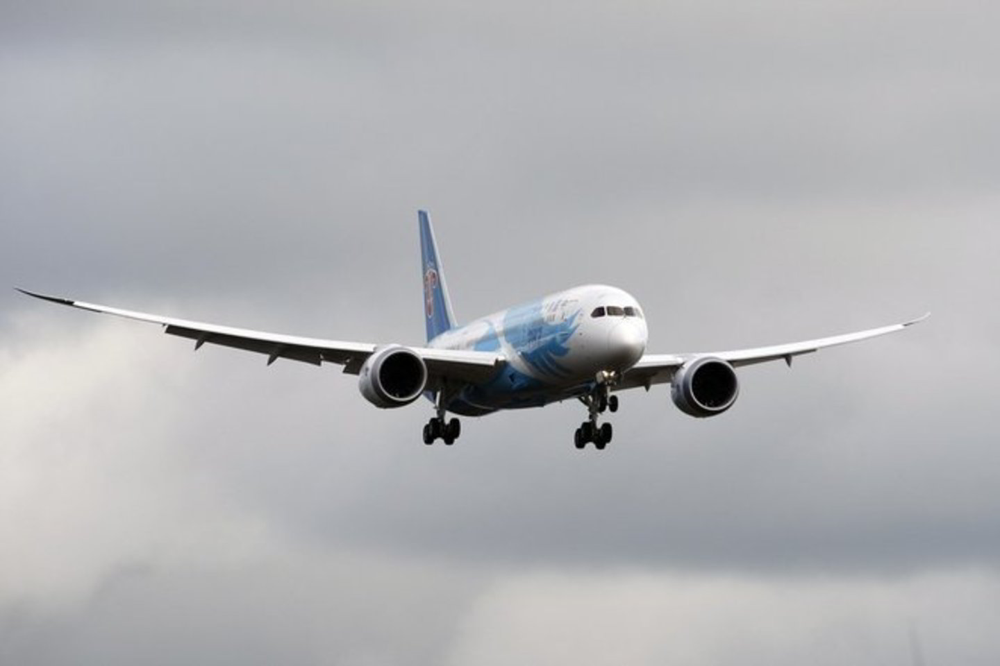 2013 metų sausį „Dreamliner“ skrydžiai buvo nutraukti visame pasaulyje dėl incidentų serijos.