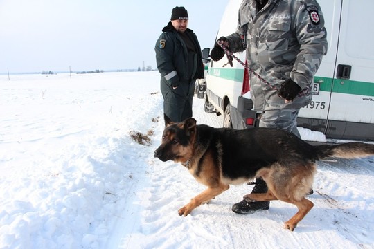 Kinologas: „Dingusiųjų reikia ieškoti prie tėvų kapų“
