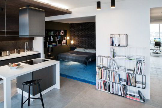 Per du mėnesius dizaineris savo butą pakeitė neatpažįstamai