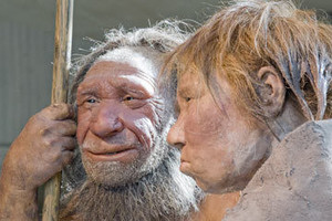 Neandertaliečiai išnyko, nes per maža smegenų dalis buvo skirta aukštesnio lygio mąstymui