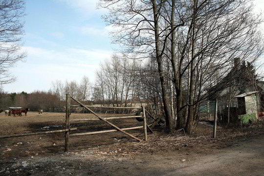 Investuotojai Palangai perša ir žirgyną, ir sniego areną