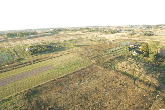 „Tautos aikštėje“ – leisti ar drausti parduoti žemę užsieniečiams?