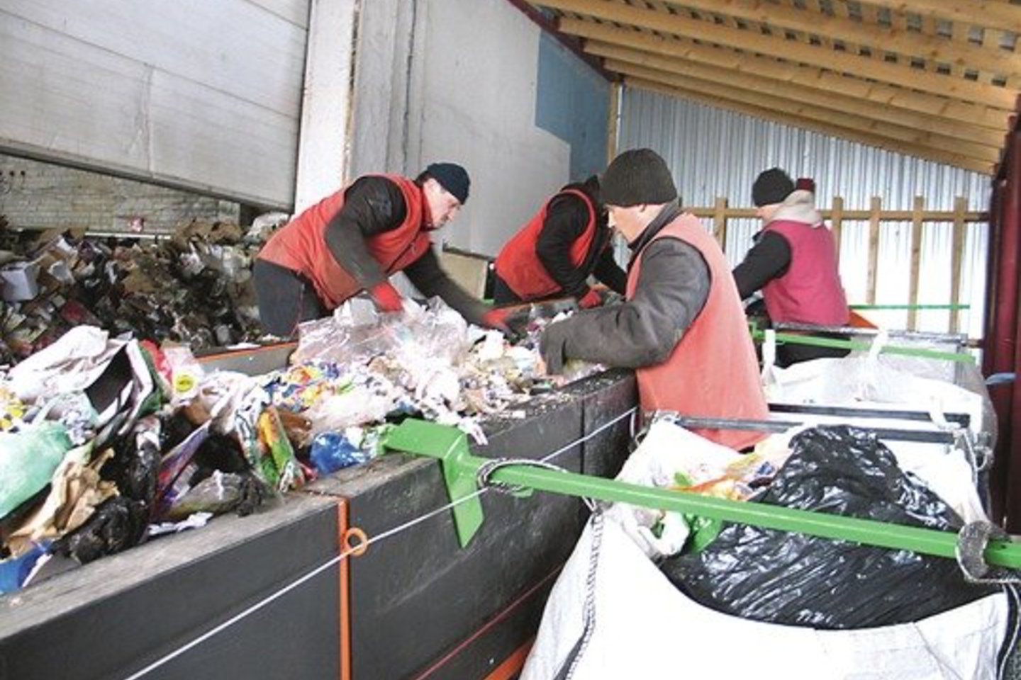 „Ekonovus” darbininkai šioje rūšiavimo linijoje per mėnesį galės perrinkti apie 60 tonų atliekų ir perpus sumažinti jų kiekį sąvartynuose.<br>Z.Šilinsko nuotr.