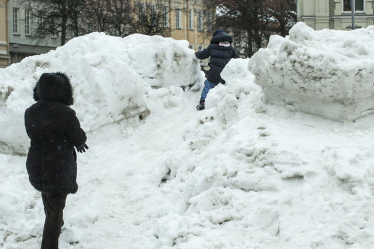 Daugumai žmonių žiema jau atsibodo.