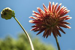 Ką reikėtų žinoti apie saulės poveikį mūsų organizmui?