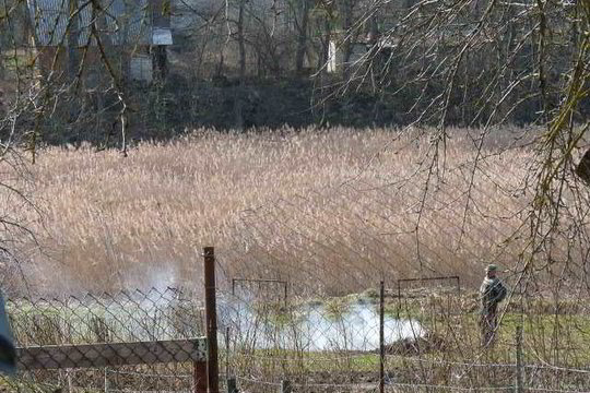 Kaimynus paskundusi moteris pati sulaukė žemėtvarkininkų įtarimų