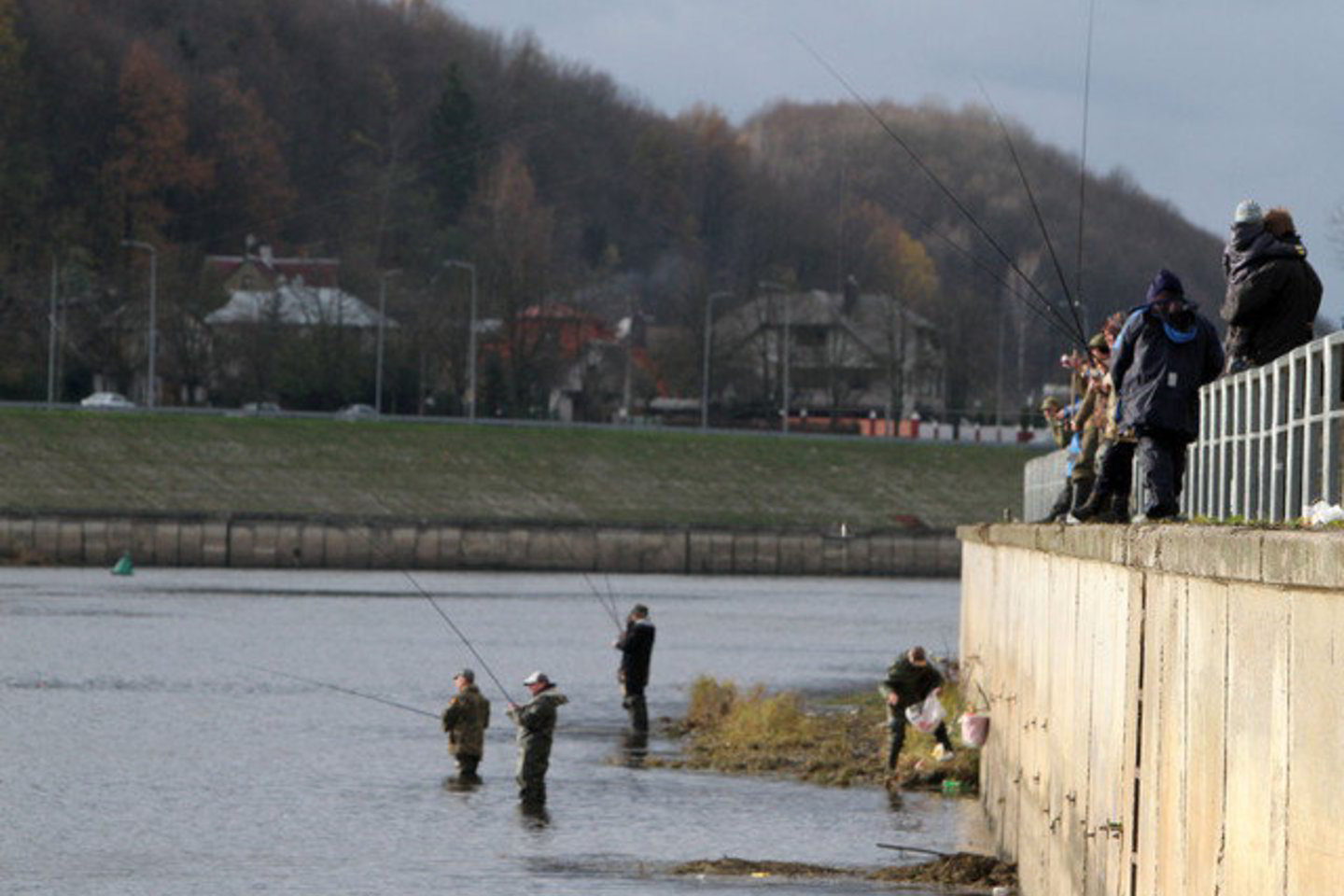 Skaičiuojama, kad šiuo metu Lietuvoje nuomojama daugiau kaip 1000 vandens telkinių.