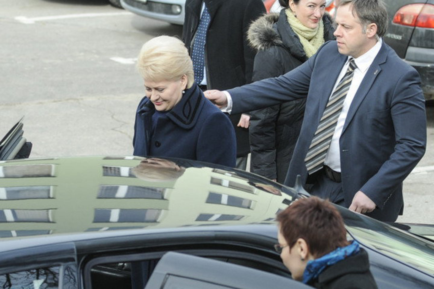 Užimtumo ir socialinių reikalų komiteto delegacijos vadovas penktadienį pareiškė, kad prezidentei gali kilti sunkumų bendraujant su Europos Parlamentu.