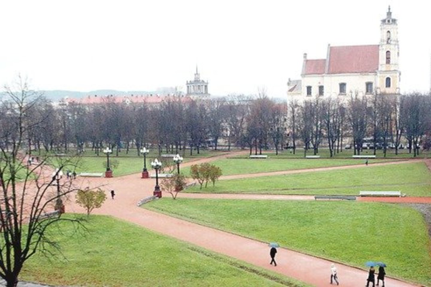Kol svarstoma, kaip turi atrodyti Lukiškių aikštė, kauniečiai ją užsės rugiais.