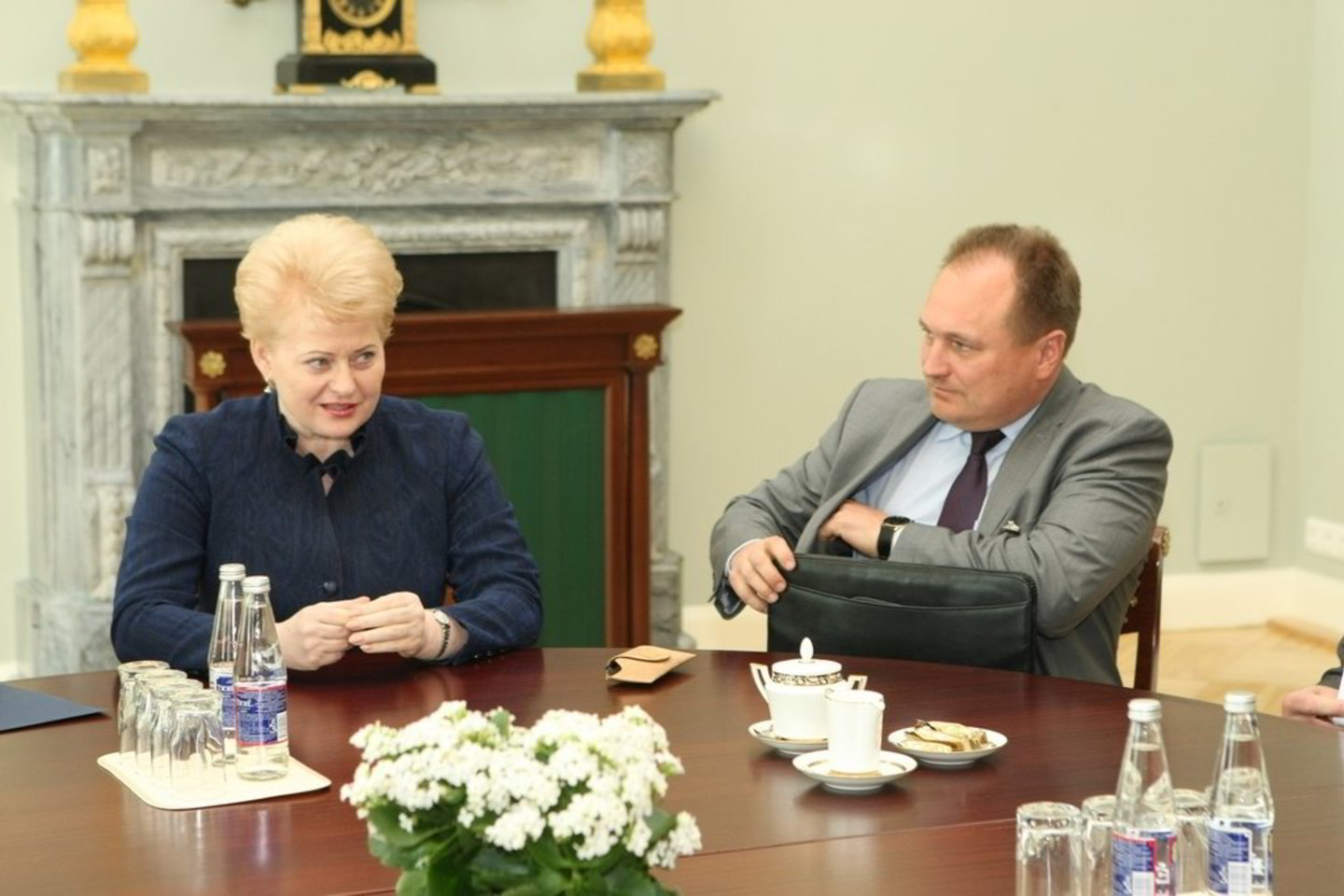 Prezidentė D. Grybauskaitė susitiko su teismų vadovais.