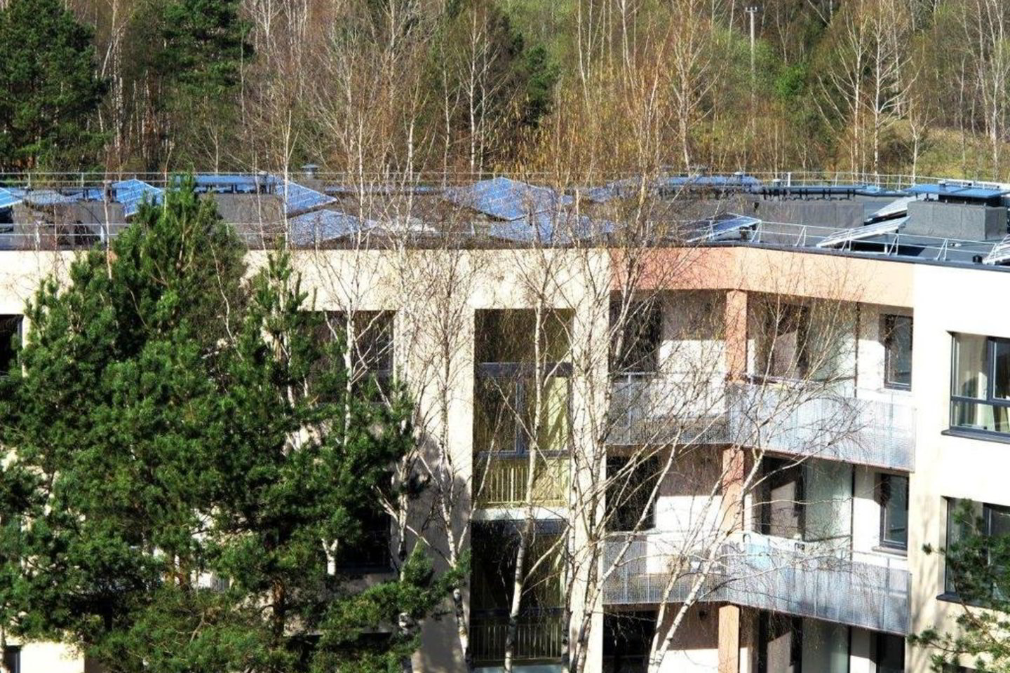 Į saulės jėgainės projektą investuota 150 tūkst. litų.