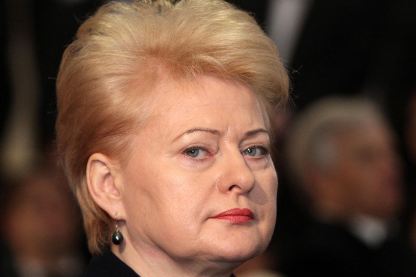 Prezidentė pataisas vetavo, pasak jos, dėl Konstitucijos ir Seimo statuto pažeidimų - ji suabejojo dėl pakeitimų priėmimo teisėtumo.