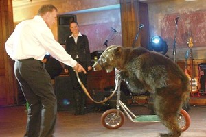 Meškučių cirkas surado atpirkimo ožį – vaiką