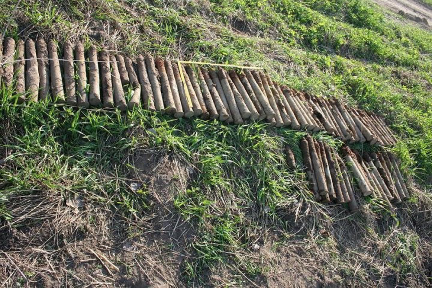 Iš viso rasti 78 artilerijos karo laikų sviediniai, kurių ilgis yra apie 44 cm, skersmuo – apie 45 mm. Juos išminuotojai išsivežė sunaikinti.