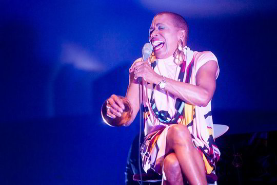 Džiazo garsenybė D. D. Bridgewater lietuviams linkėjo didžiuotis savimi