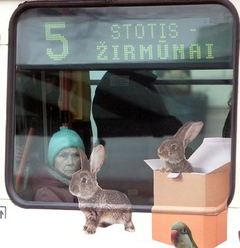 Prašoma stabdyti ar atidėti Vilniaus transporto sistemos reformą