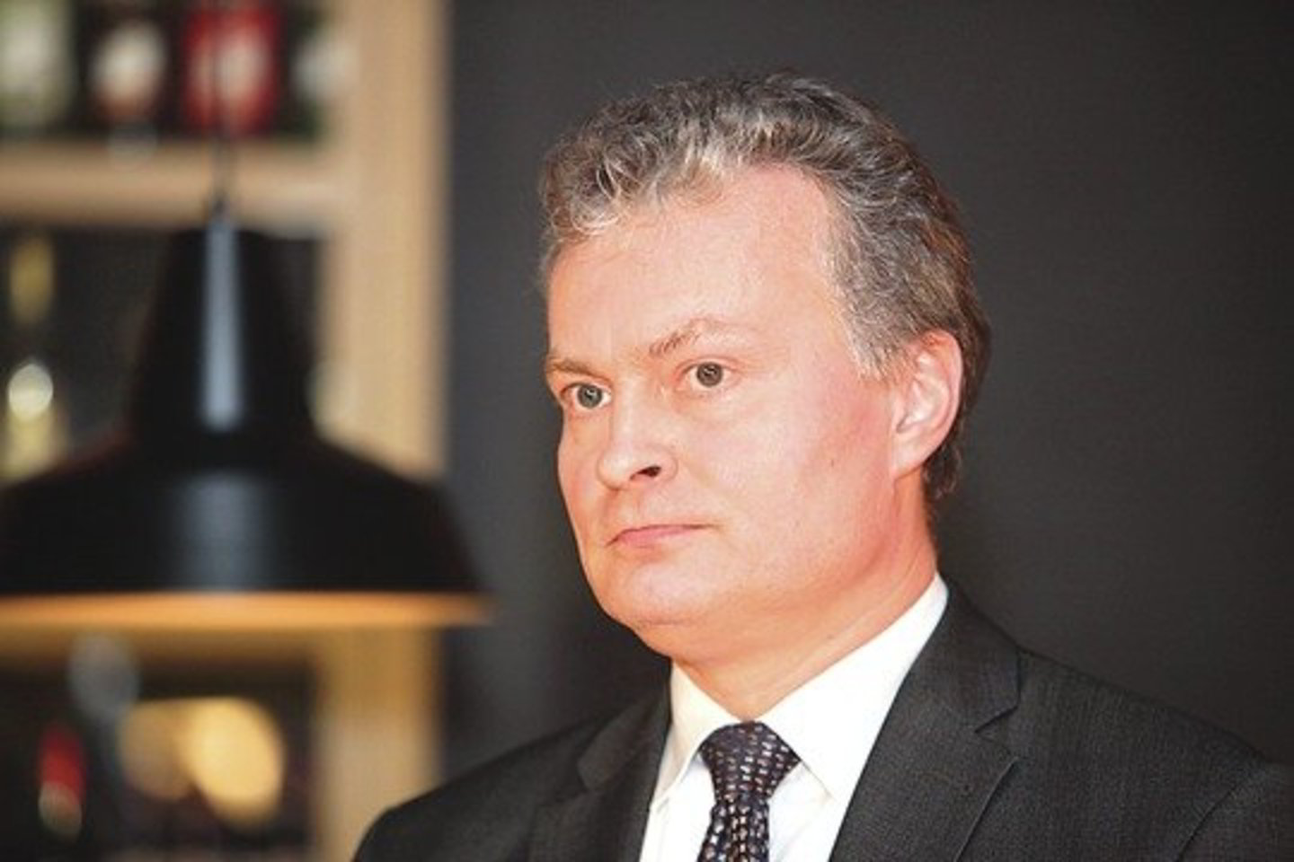 SEB banko prezidento patarėjas G. Nausėda: „Neįsivedus euro 2015 metais gali tekti ilgai laukti, kol tai pavyktų padaryti.”