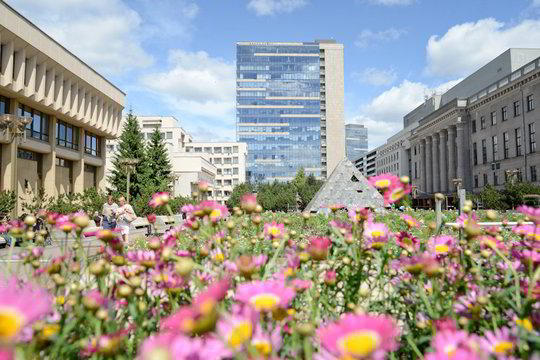 Aprūdijęs Seimo fontanas tapo gėlių darželiu