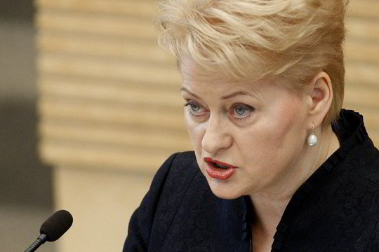 Politologai prezidentės pranešime pasigedo to, kas rūpi paprastam žmogui