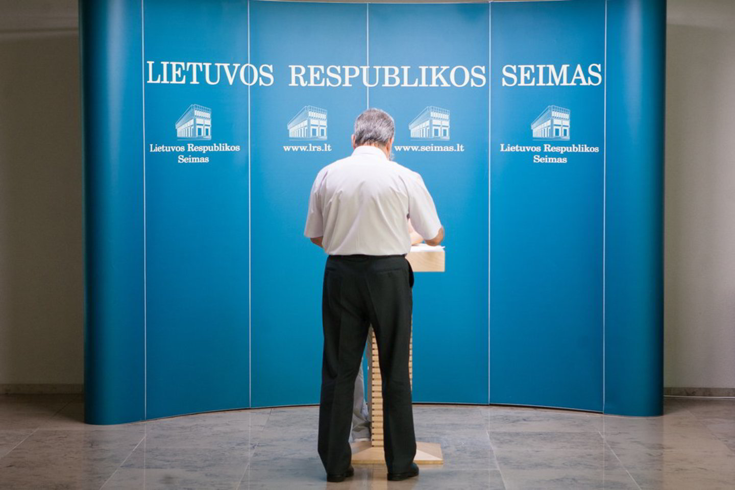 Seimas nustatė, kad komisija dirbs iki lapkričio 15 dienos.