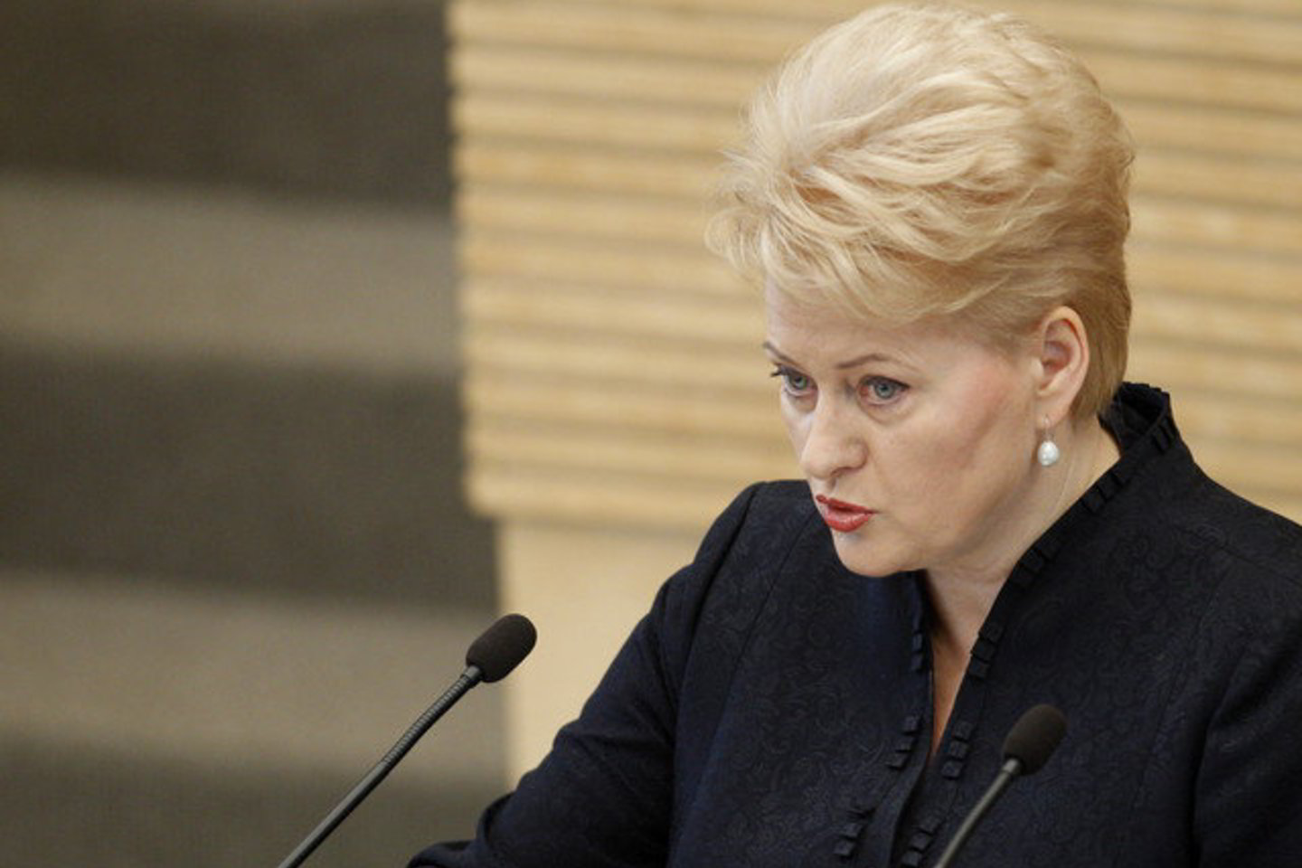 D. Grybauskaitė skaitė ketvirtąjį savo kadencijos metinį pranešimą.