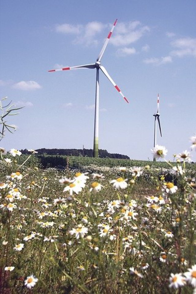 Vėjo energijos gamyba minimaliai veikia aplinką ir yra viena švariausių energetikos rūšių.