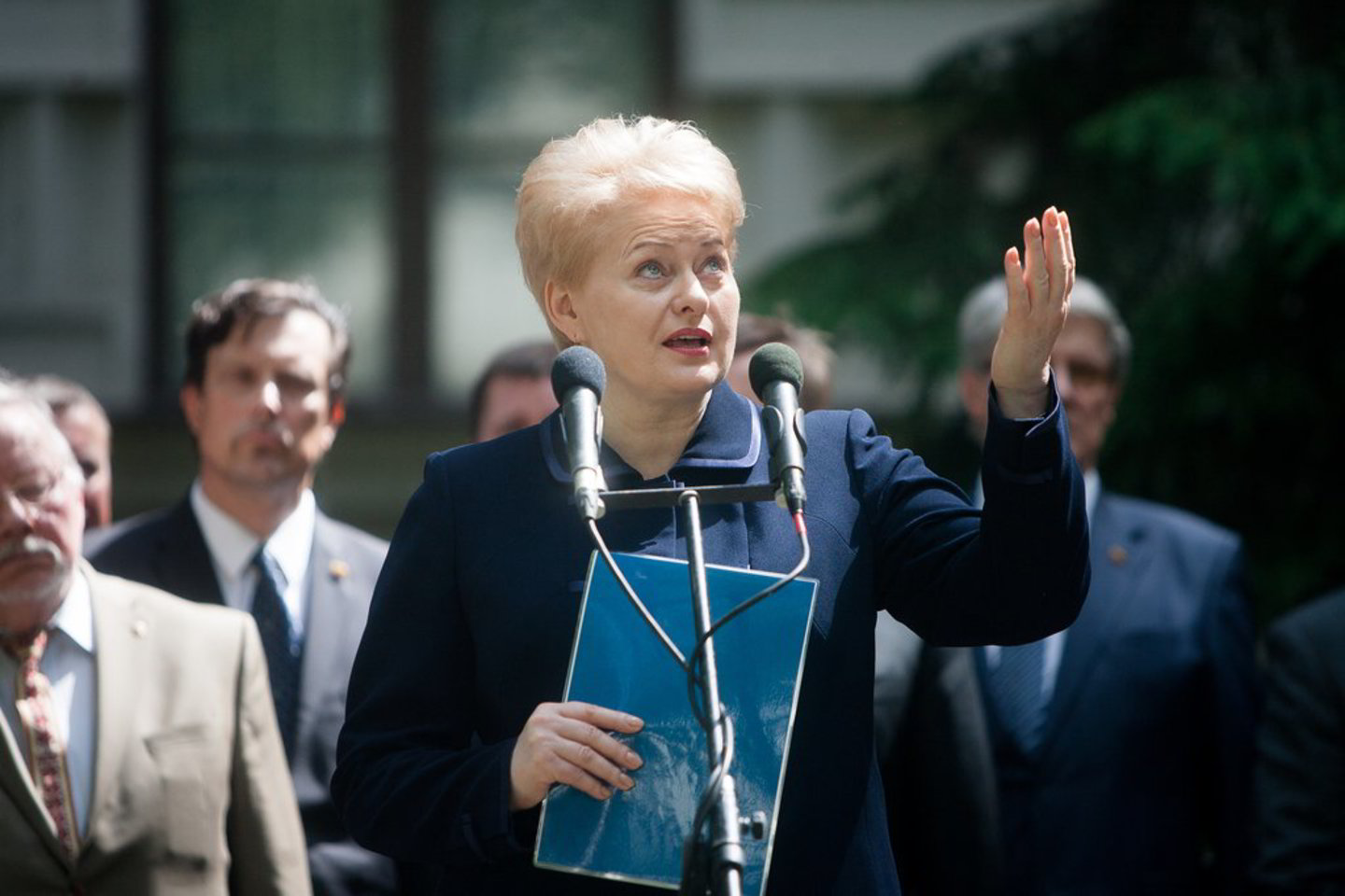D. Grybauskaitė mano, kad stojimas į ES rodo, kad lietuviai nori euro.