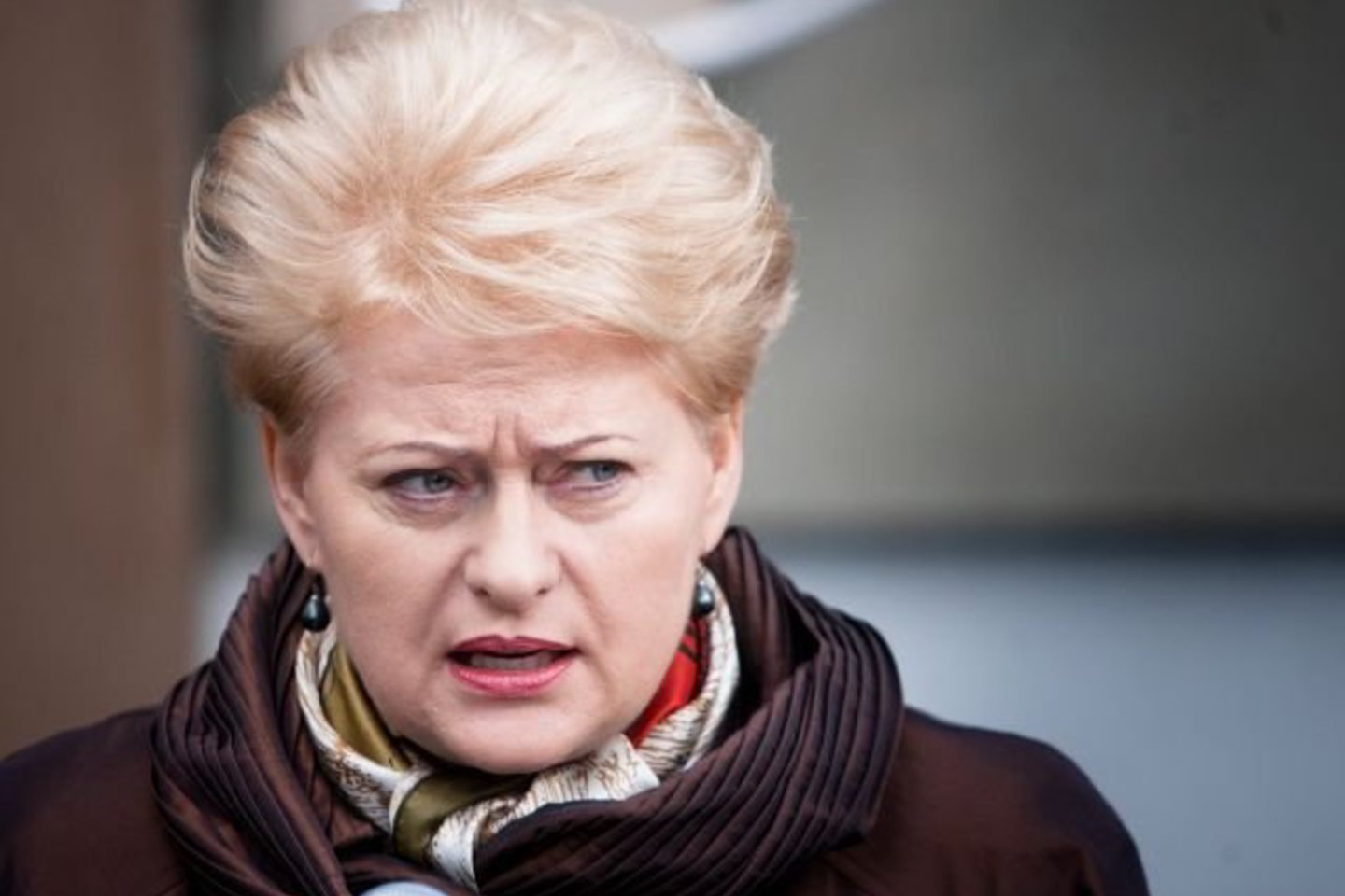 Seimo sprendimas nepatiko prezidentei.