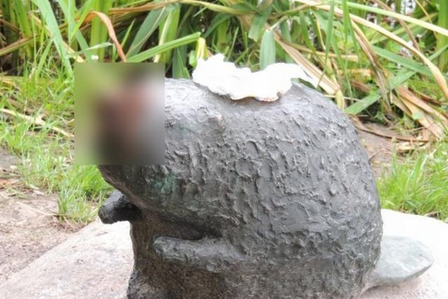 Piktadarių poelgis šokiravo vietos gyventojus.