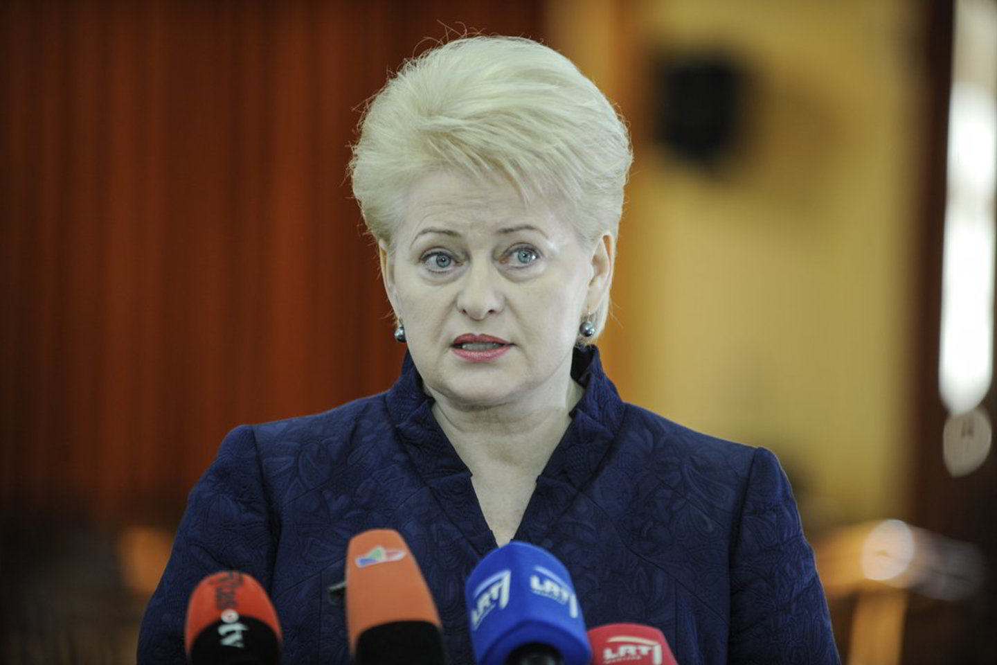 Pasiteiravus, kiek Lietuvai bus skirta iš 6 mlrd. eurų, skirtų jaunimo nedarbui mažinti, D. Grybauskaitė teigė, kad tai ankstyvas klausimas.