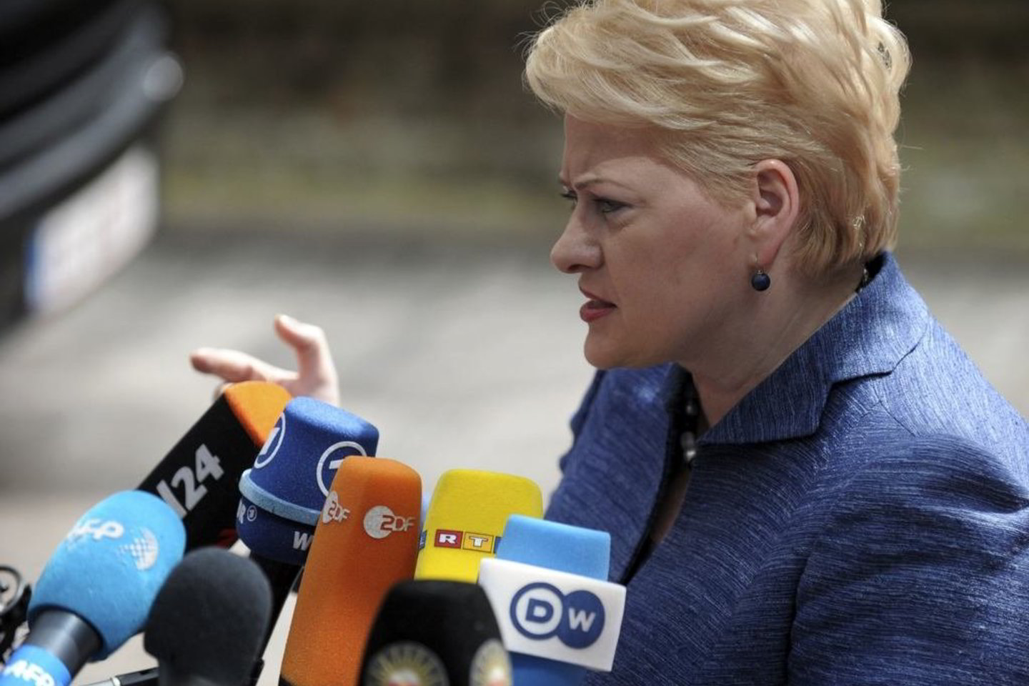 D. Grybauskaitė akcentavo energetikos klausimą.