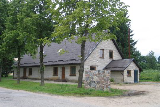 Į Lietuvą pargabenami Airijoje nužudytos telšiškės ir jos dukters palaikai