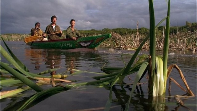 Paslapties gaubiamų lobių paieškos nuotykių filme „Bibliotekininkas“