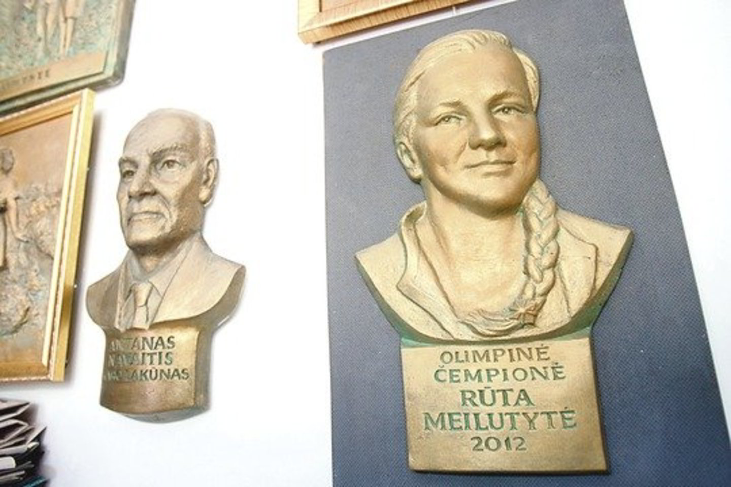 Vienas iš pernai sukurtų darbų – olimpinės čempionės R. Meilutytės portretas.