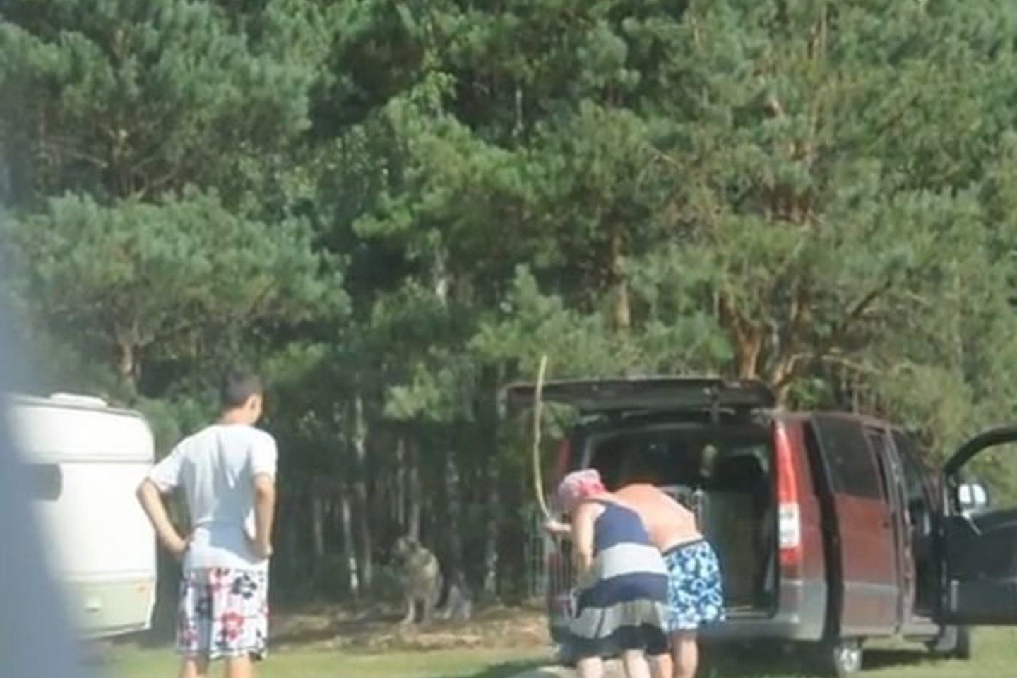 Moteris čiupo lazdą ir ėmė mušti savo augintinį.