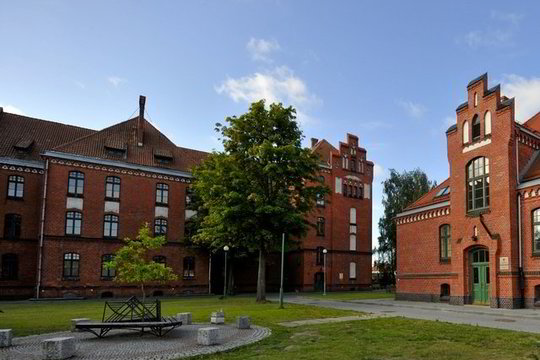Klaipėdos universiteto rektorius apskundė teismo sprendimą