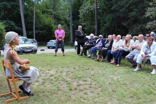 Bitėnų kaimo bendruomenė sunerimusi - gandrų daugiau nei žmonių