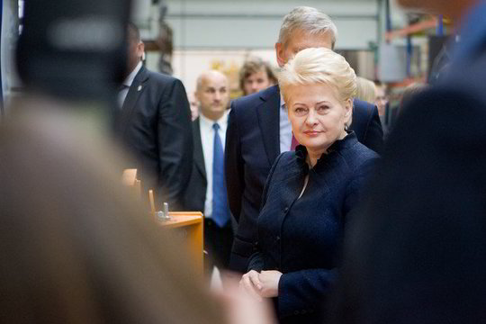 Prezidentė susitiks su naujuoju Belgijos karaliumi