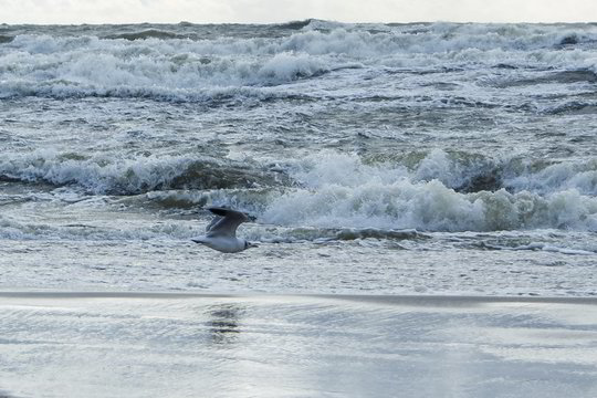 Baltijos jūros lygis pamažu kyla, bet lietuviai žymių pokyčių nepajus
